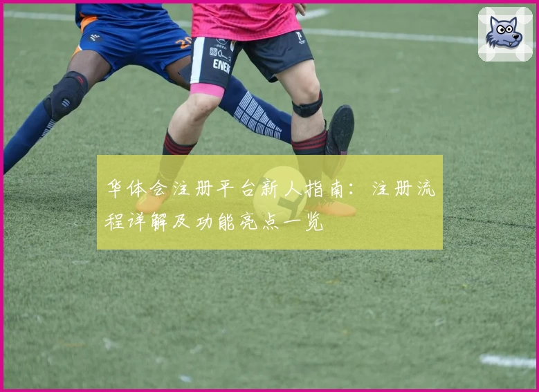 华体会注册平台新人指南：注册流程详解及功能亮点一览