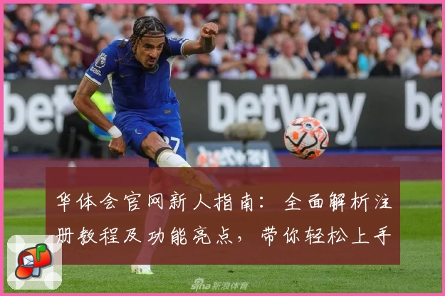 华体会官网新人指南：全面解析注册教程及功能亮点，带你轻松上手