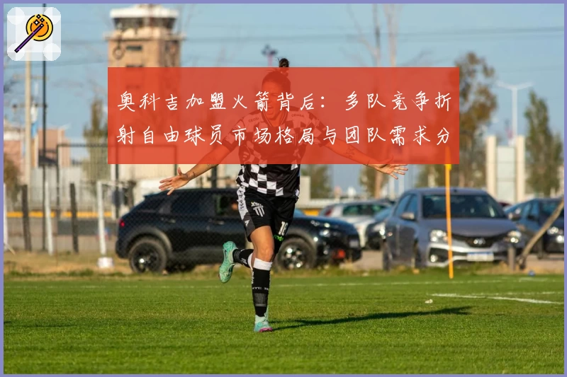 奥科吉加盟火箭背后：多队竞争折射自由球员市场格局与团队需求分析